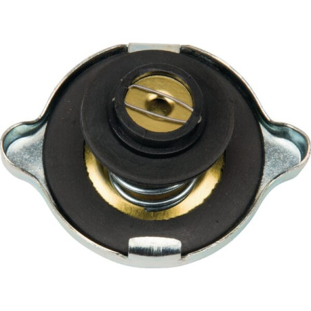 Bouchon de radiateur UNIVERSEL 24850020N