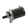 Démarreur KOHLER 2509807S