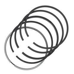 Segments MAR-MOT 269031377204