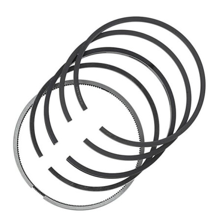 Segments MAR-MOT 269031377204