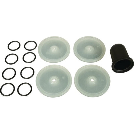 Membrane BERTOLINI 289887973
