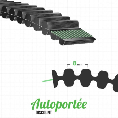 Courroie de coupe CASTELGARDEN TCX 102 HYDRO (2012)