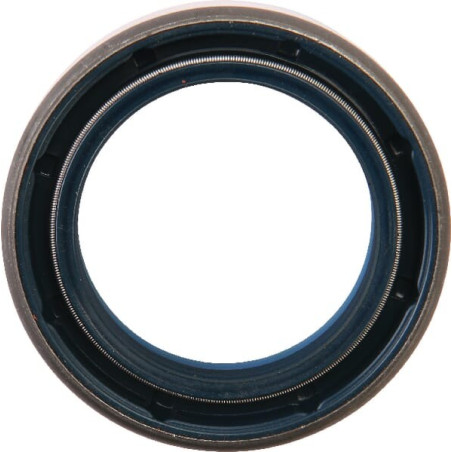 Joint CASE IH 311564A1