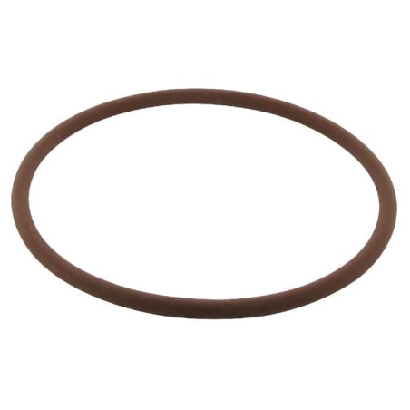 Joint torique CASE IH 3230854R1
