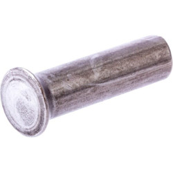 Rivet ESM 3231981