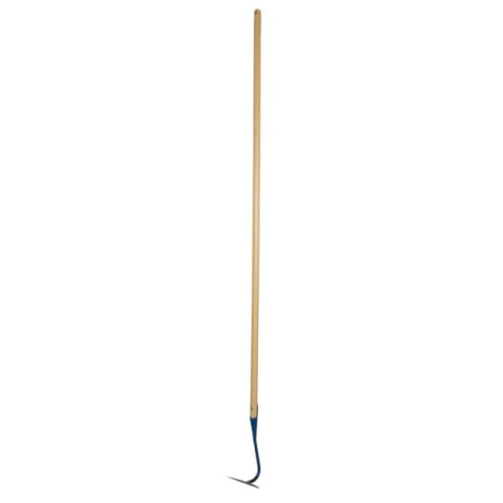 Binette DE WIT 3514S