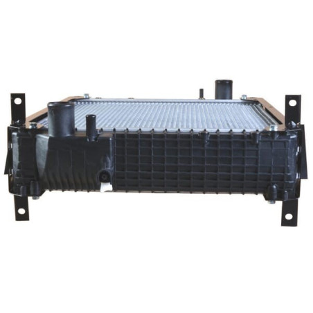 Radiateur ALPINA 3781114M1N