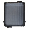 Radiateur ALPINA 3785830M2N