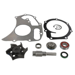 Kit de réparation de pompe à eau MASSEY FERGUSON 4225070M91