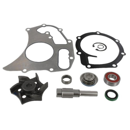 Kit de réparation de pompe à eau MASSEY FERGUSON 4225070M91