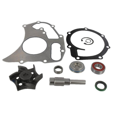 Kit de réparation de pompe à eau MASSEY FERGUSON 4225070M91