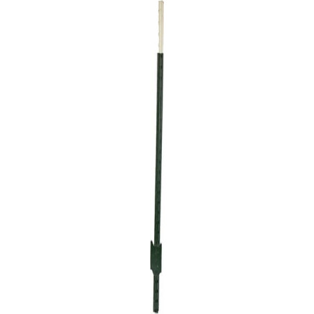 Piquet AKO 441407