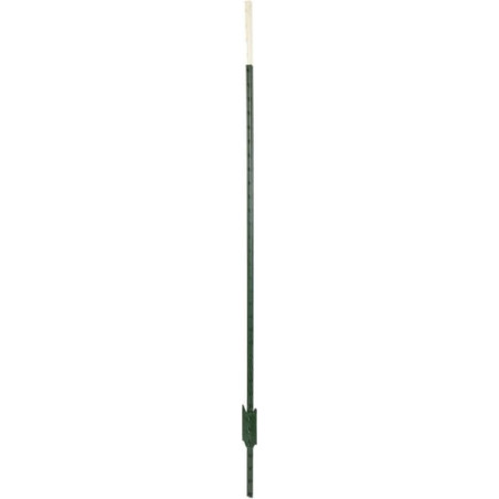 Piquet AKO 441462