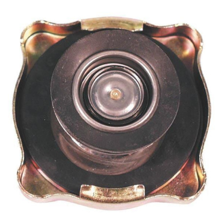 Bouchon de radiateur UNIVERSEL 4999682N