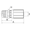 Raccord GATES 4G6MBSPT