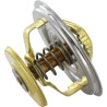 Thermostat GOPART 500365249GP