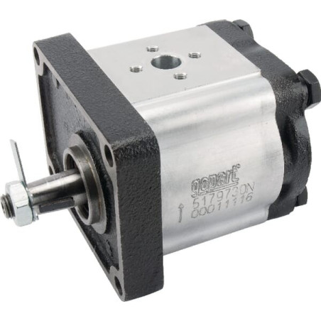 Pompe hydraulique GOPART 5179730N