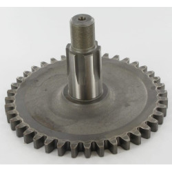 Pignon KUHN 55920200