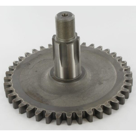 Pignon KUHN 55920200