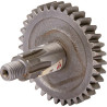 Pignon KUHN 56202510