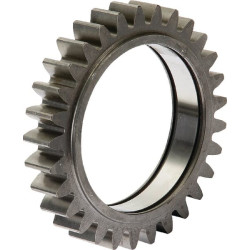 Pignon 29 dents KUHN 56800700