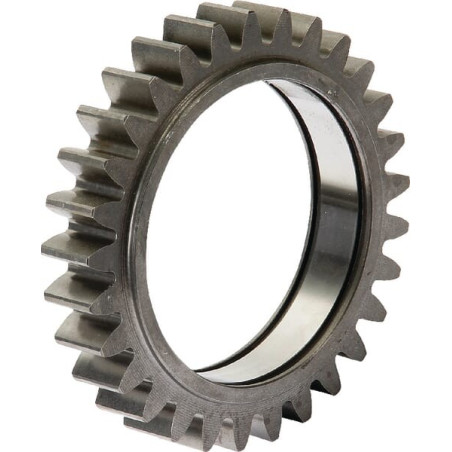 Pignon 29 dents KUHN 56800700