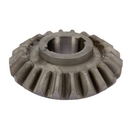Pignon KUHN 58502310