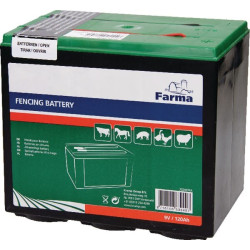 Pile FARMA 702007FA