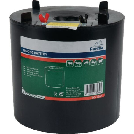 Pile FARMA 702008FA