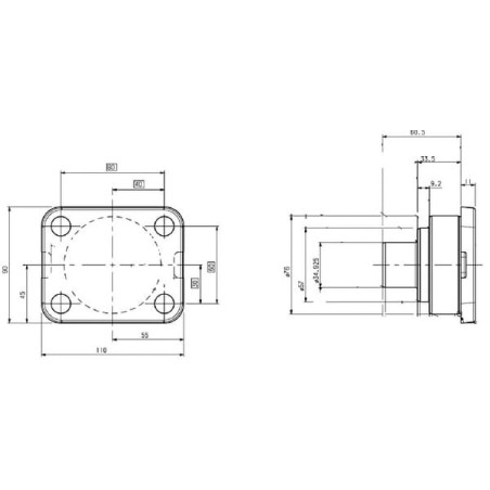 Pivot SPICER DANA 7500670901