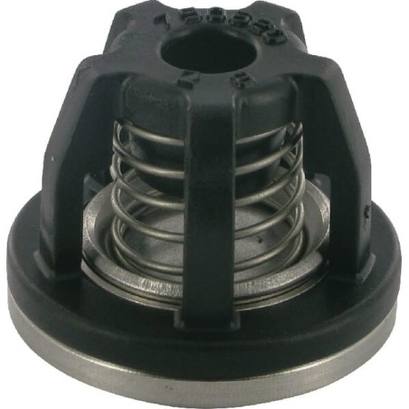 Clapet ANNOVI REVERBERI 759051