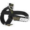 Collier pour veaux UNIVERSEL 803120KR
