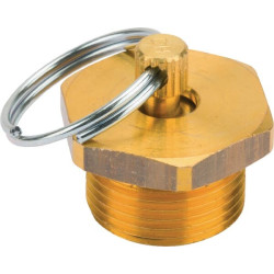Purgeur WABCO 9343000030