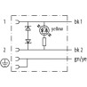 Câble MURR ELEKTRONIK 94021MSUDCI