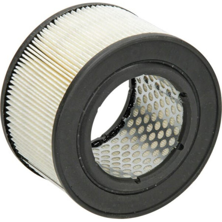 Filtre à air FLEETGUARD AF25481
