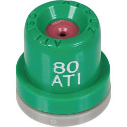Buse ALBUZ ATI80015