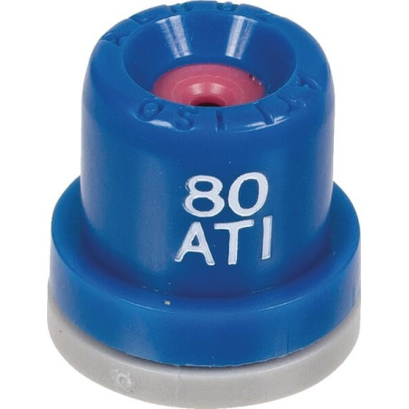 Buse ALBUZ ATI8003