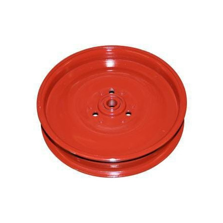 Poulie VAPORMATIC AV100334