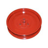 Poulie VAPORMATIC AV100334