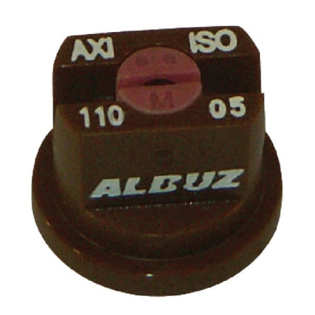 Buse ALBUZ AXI11005