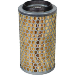 Filtre à air MANN-FILTER C10431