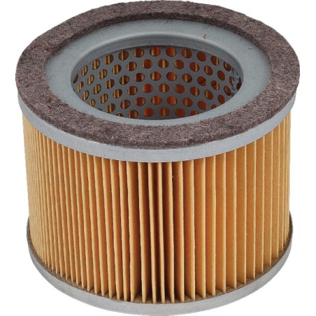 Filtre à air MANN-FILTER C11122