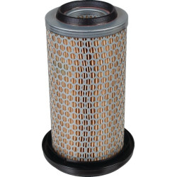 Filtre à air MANN-FILTER C1176