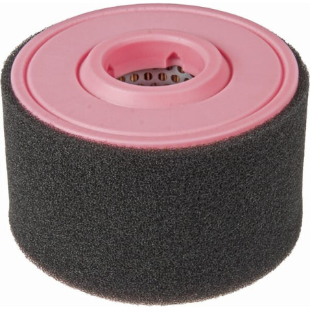 Filtre à air MANN-FILTER C1237