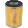 Filtre à air MANN-FILTER C131031