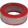 Filtre à air MANN-FILTER C1415