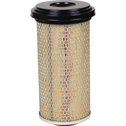 Filtre à air MANN-FILTER C15165