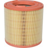 Filtre à air MANN-FILTER C181491