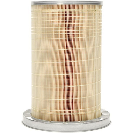 Filtre à air MANN-FILTER C193841