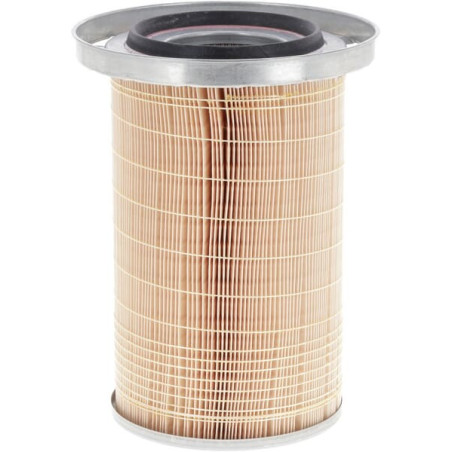 Filtre à air MANN-FILTER C193841
